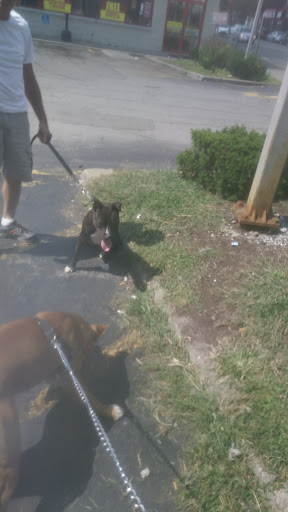 Pet Supply Store «Pet Supplies Plus», reviews and photos, 531 Monroe Ave, Rochester, NY 14607, USA