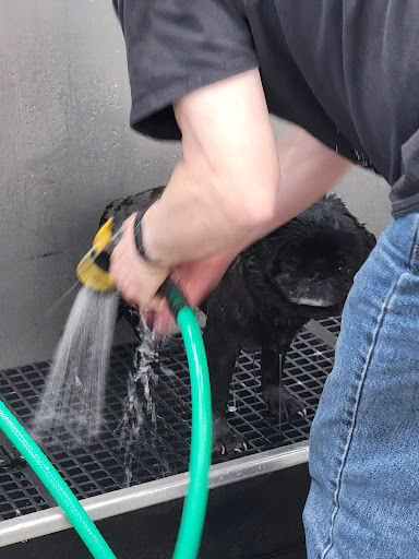 Pet Supply Store «Pet Supplies Plus», reviews and photos, 646 Long Hill Rd, Groton, CT 06340, USA