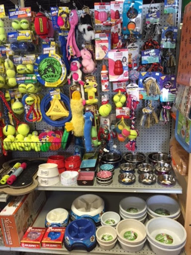 Pet Store «The Pet Shop», reviews and photos, 2235 S Power Rd #107, Mesa, AZ 85209, USA