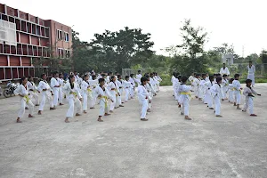 Taekwondo Association of Berhampur image