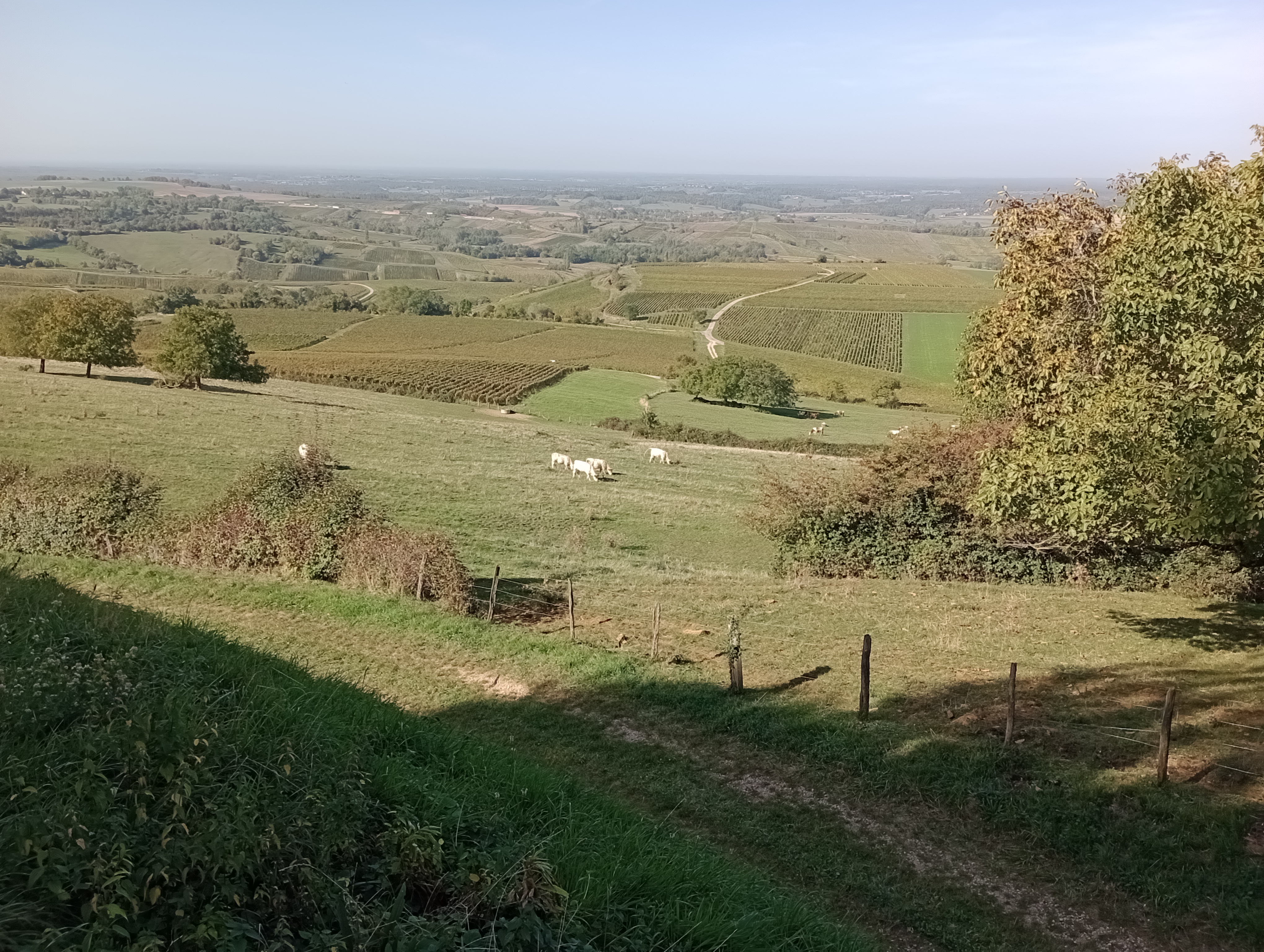 Photo n° 1 de l'avis de Koen.e fait le 10/10/2023 à 17:18