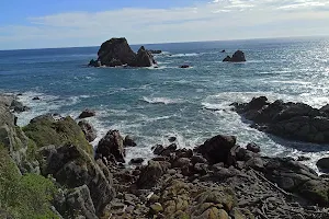 Seal Colony Tauranga Bay image