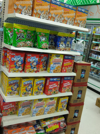 Dollar Store «Dollar Tree», reviews and photos, 5110 Pennell Rd, Media, PA 19063, USA