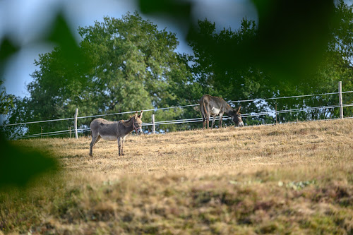 La ferme du petit âge à Le Vigeant