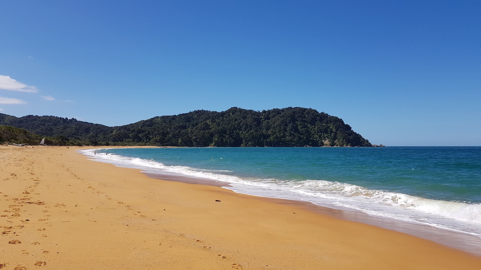 Foto av Totaranui Beach omgiven av klippor