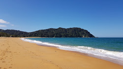 Foto av Totaranui Beach omgiven av klippor