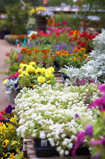 Landscaper «Wilson Landscape Nursery and Florist», reviews and photos, 14650 Bandera Rd, Helotes, TX 78023, USA