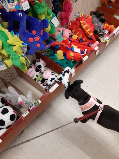 Pet Supply Store «PetSmart», reviews and photos, 5 Mystic View Rd, Everett, MA 02149, USA
