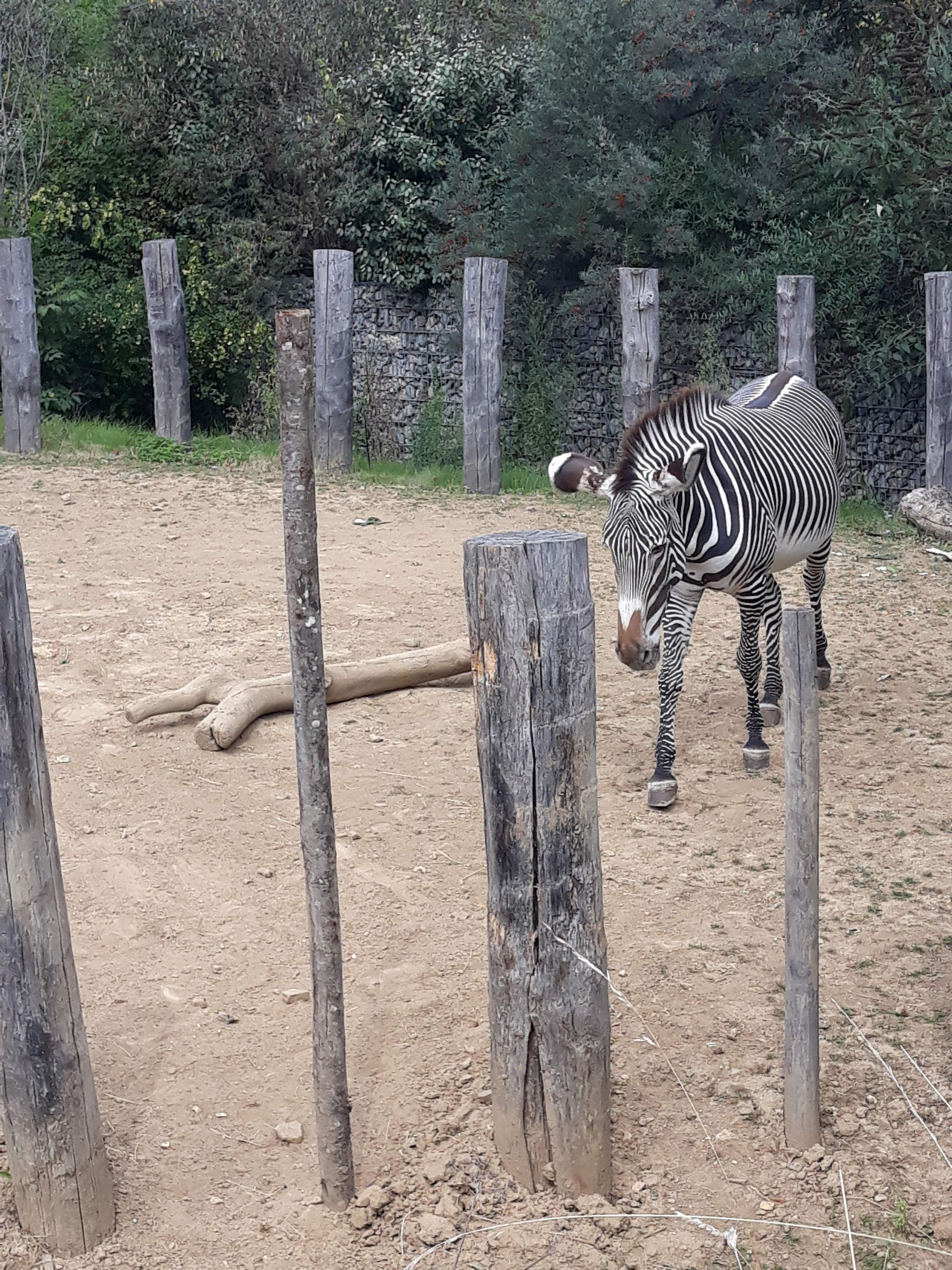 Photo n° 31 de l'avis de Ludo.a fait le 30/08/2021 à 17:15