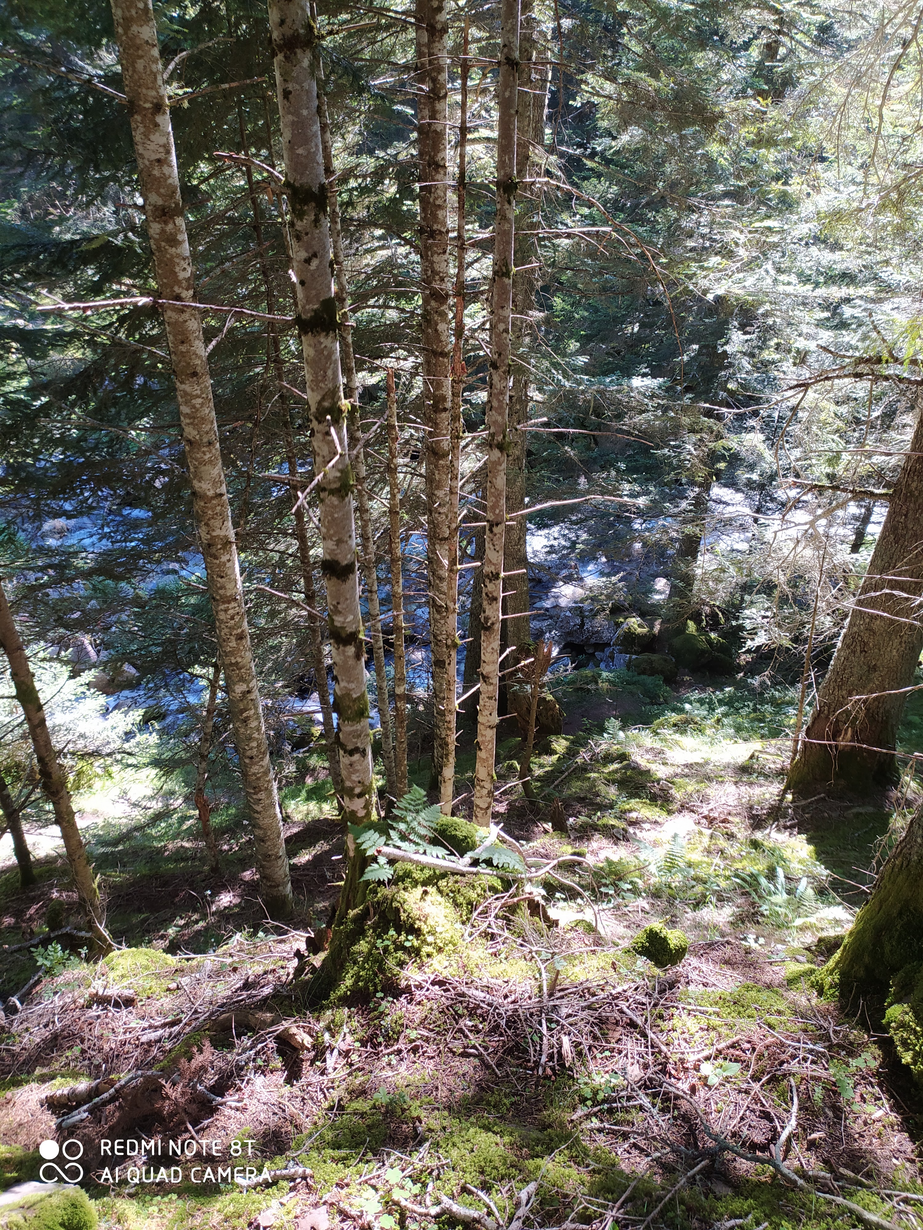 Photo n° 3 de l'avis de Sofiane.e fait le 26/07/2020 à 18:32