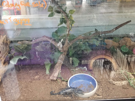 Pet Store «Animal Ark», reviews and photos, 2730 Brookdale Dr, Kingwood, TX 77339, USA
