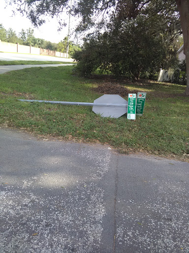 Grocery Store «Park Ridge Grocery», reviews and photos, 3792 Old Winter Garden Rd, Gotha, FL 34734, USA