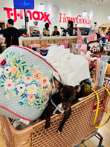 Department Store «HomeGoods», reviews and photos, 23518 Westheimer Pkwy, Katy, TX 77494, USA