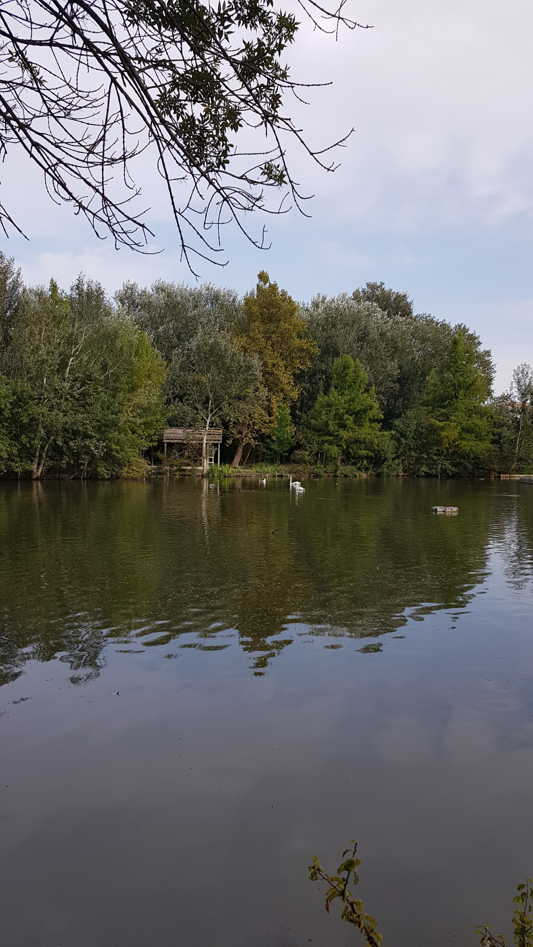 Photo n° 8 de l'avis de Marie.o fait le 30/08/2018 à 15:28