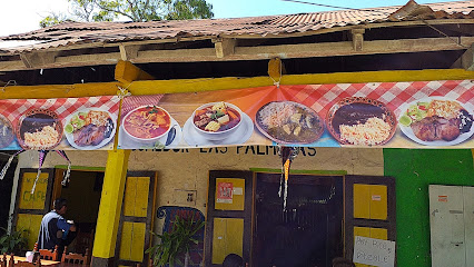 Comedor Las Palmitas - Pl. de la Pirámide numero 12, 92940 Castillo de Teayo, Ver., Mexico