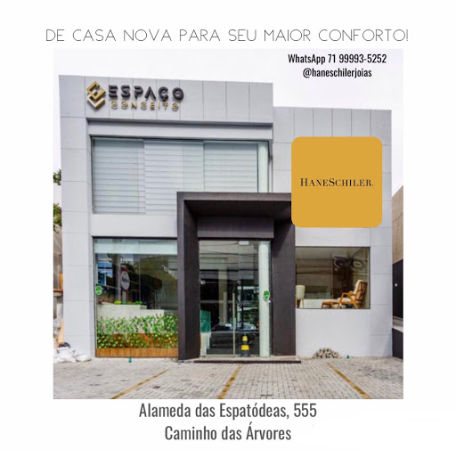 Logo da empresa - HANE SCHILER