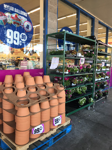 Discount Store «99 Cents Only Stores», reviews and photos, 699 Lewelling Blvd #50, San Leandro, CA 94579, USA