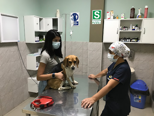 Clinica Veterinaria Champagnat