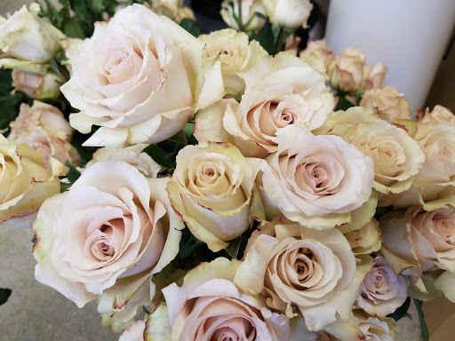 Florist «Simple Bouquets», reviews and photos, 315 Main St, Tilton, NH 03276, USA