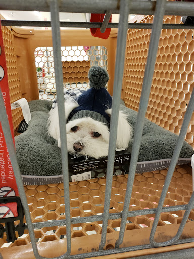 Department Store «HomeGoods», reviews and photos, 344 W Army Trail Rd, Bloomingdale, IL 60108, USA