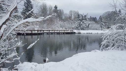 Park «Commonwealth Lake Park», reviews and photos, SW Butner Rd & SW Huntington Ave, Cedar Hills, OR 97225, USA