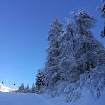 Photo n°10 de l'avis de Mikhail.o fait le 16/01/2018 à 20:52 sur le  Bar Ristorante Dantercepies à Sëlva