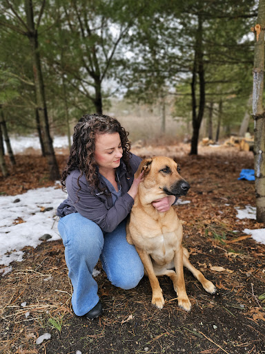 Northeast Veterinary Relief Services image