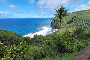 Pololū Valley Lookout image