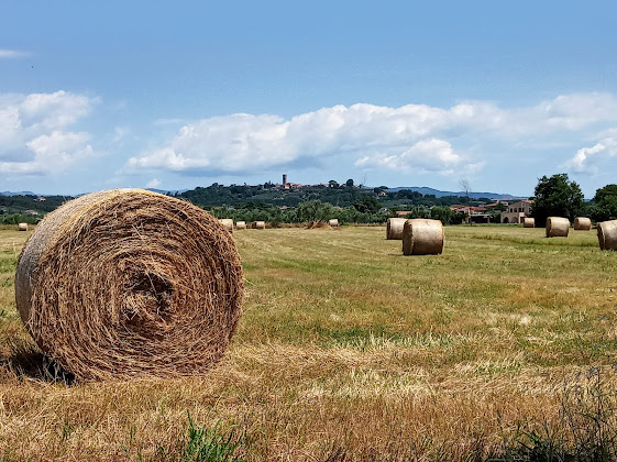 Photos des visiteurs Casa vacanza Casa Di Campagna 55015 Montecarlo