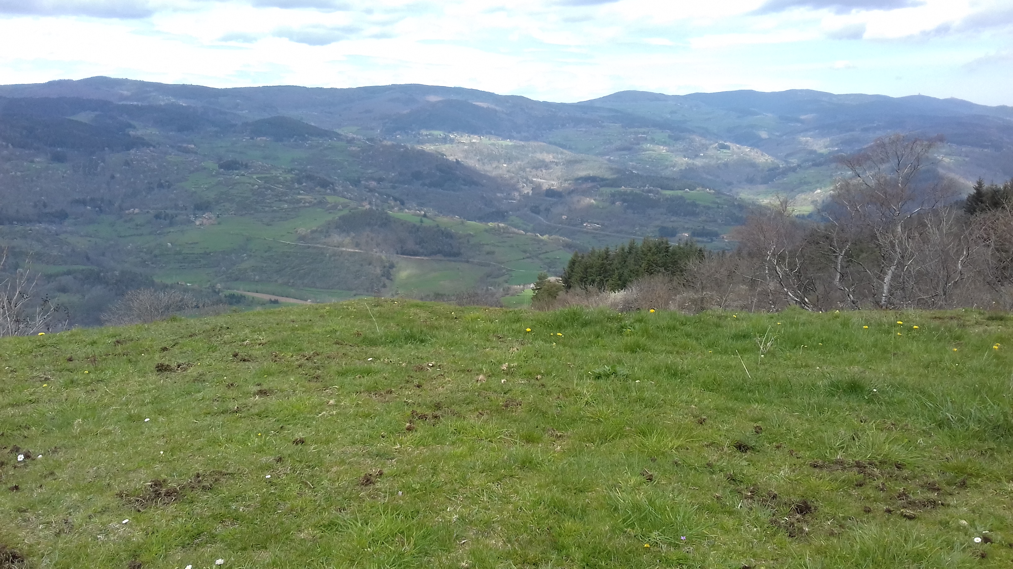Photo n° 4 de l'avis de DAVID.A fait le 27/04/2023 à 19:36