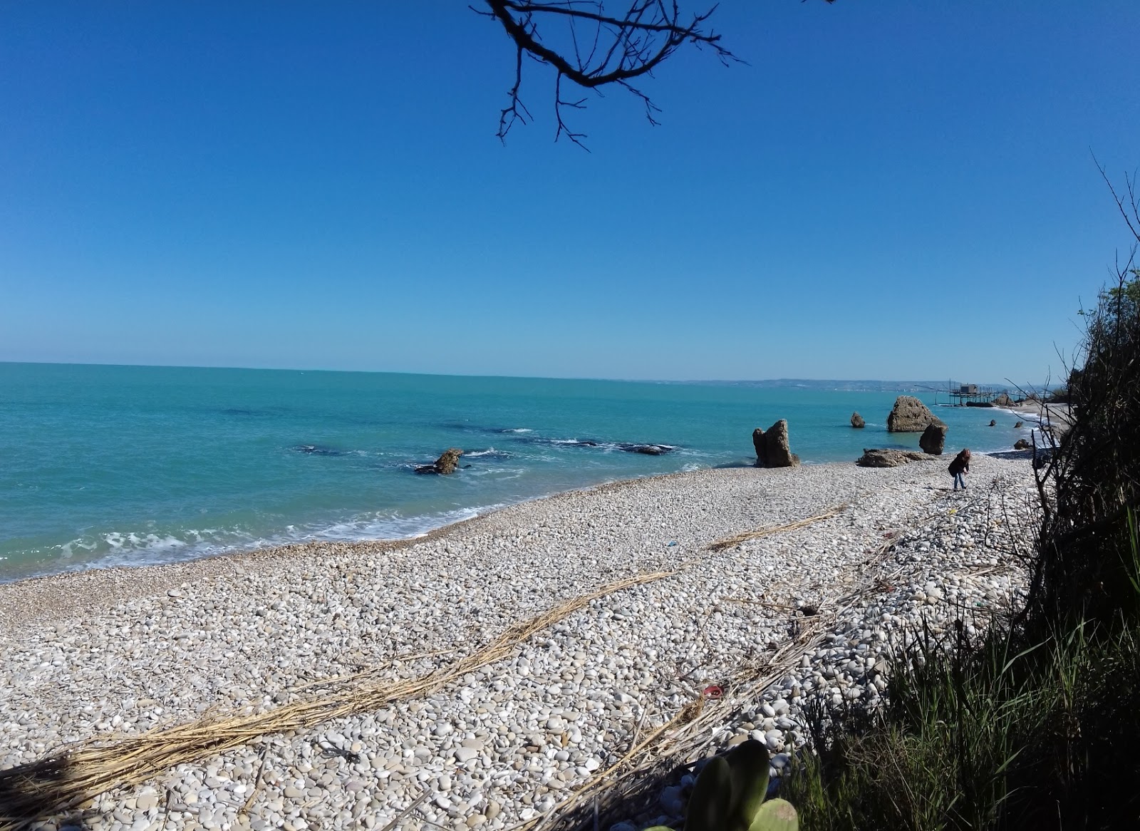 Foto von Spiaggia della Canale mit viele geräumige buchten