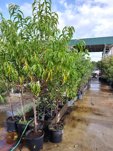 Hardware Store «Hagan Ace Hardware», reviews and photos, 6567 US-90, Glen St Mary, FL 32040, USA