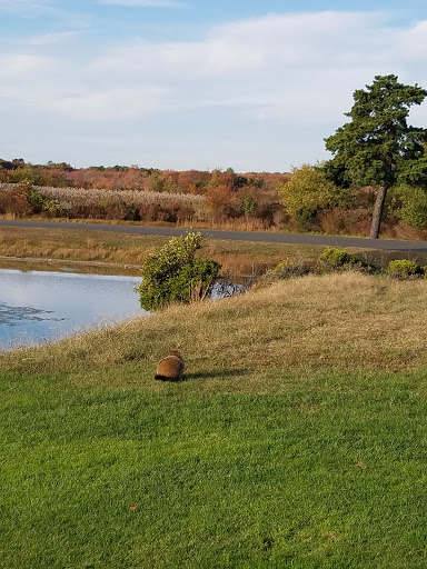 Golf Club «Swan Lake Golf Club», reviews and photos, 388 River Rd, Manorville, NY 11949, USA