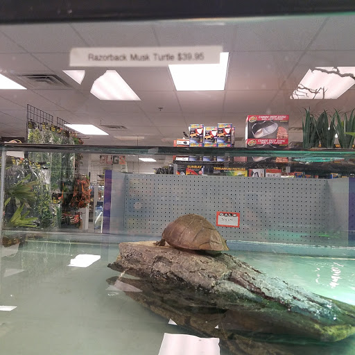 Pet Store «Exotic Pets», reviews and photos, 2410 N Decatur Blvd #160, Las Vegas, NV 89108, USA