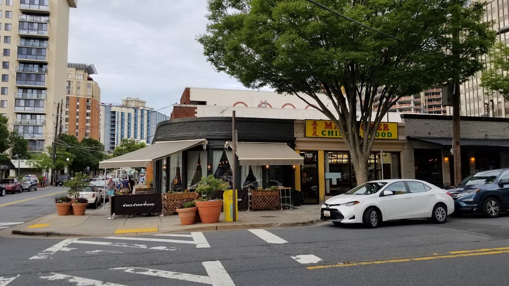 Duck Duck Goose 20814