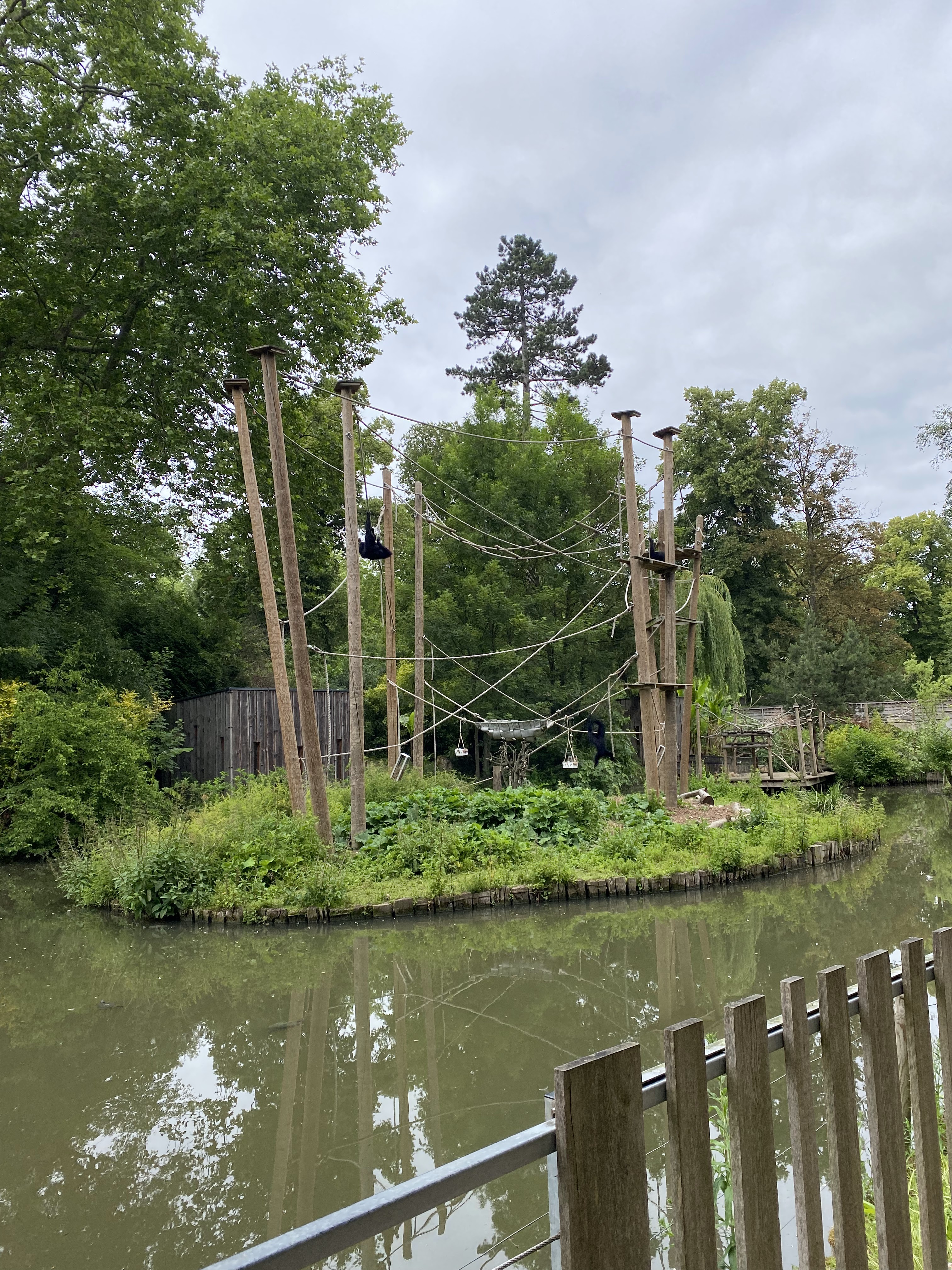 Photo n° 3 de l'avis de Oum.. fait le 11/06/2022 à 21:47