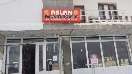 Aslan Market
