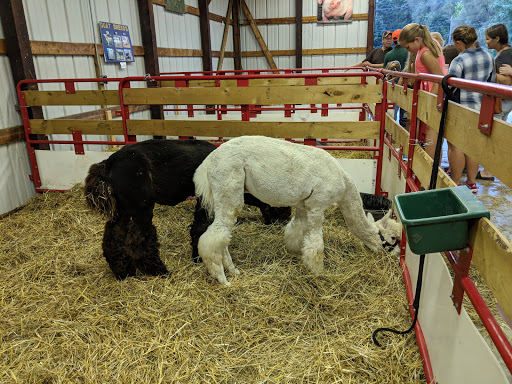 Festival «Chelsea Community Fair», reviews and photos, 20501 W Old US Hwy 12, Chelsea, MI 48118, USA