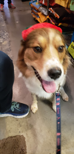 Pet Supply Store «Fetch Pet Supplies & Gifts», reviews and photos, 1332 E Republic Rd, Springfield, MO 65804, USA