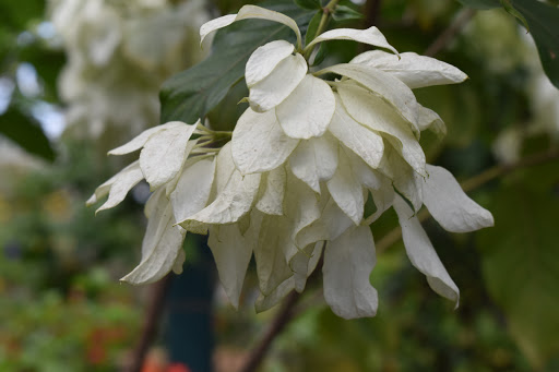 Tourist Attraction «Butterfly World», reviews and photos, 3600 W Sample Rd, Coconut Creek, FL 33073, USA