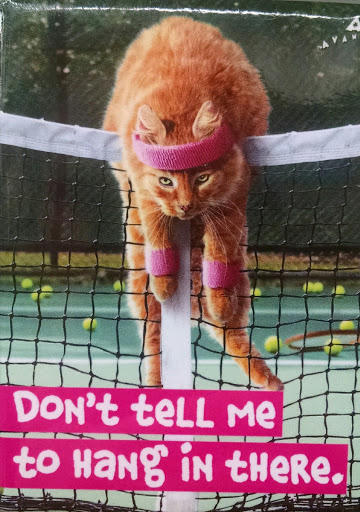 Variety Store «Five Below», reviews and photos, 3910 Commerce Blvd, Dickson City, PA 18519, USA