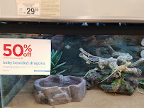 Petco - Photo 8 - Car repair in Gastonia, NC, Gastonia