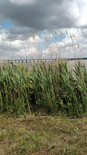 Marina «June Parker Marina», reviews and photos, 531 N Church Ln, Tappahannock, VA 22560, USA