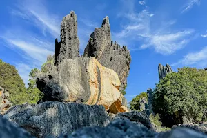 Stone Forest Scenic image