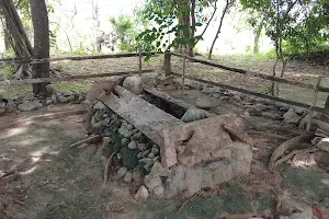 Makam Wali Kidangan image