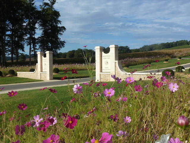 SCEA DU DOMAINE DE CAUHAPE