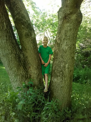 Public Golf Course «Meshingomesia Golf Club», reviews and photos, 2225 N Lagro Rd, Marion, IN 46952, USA