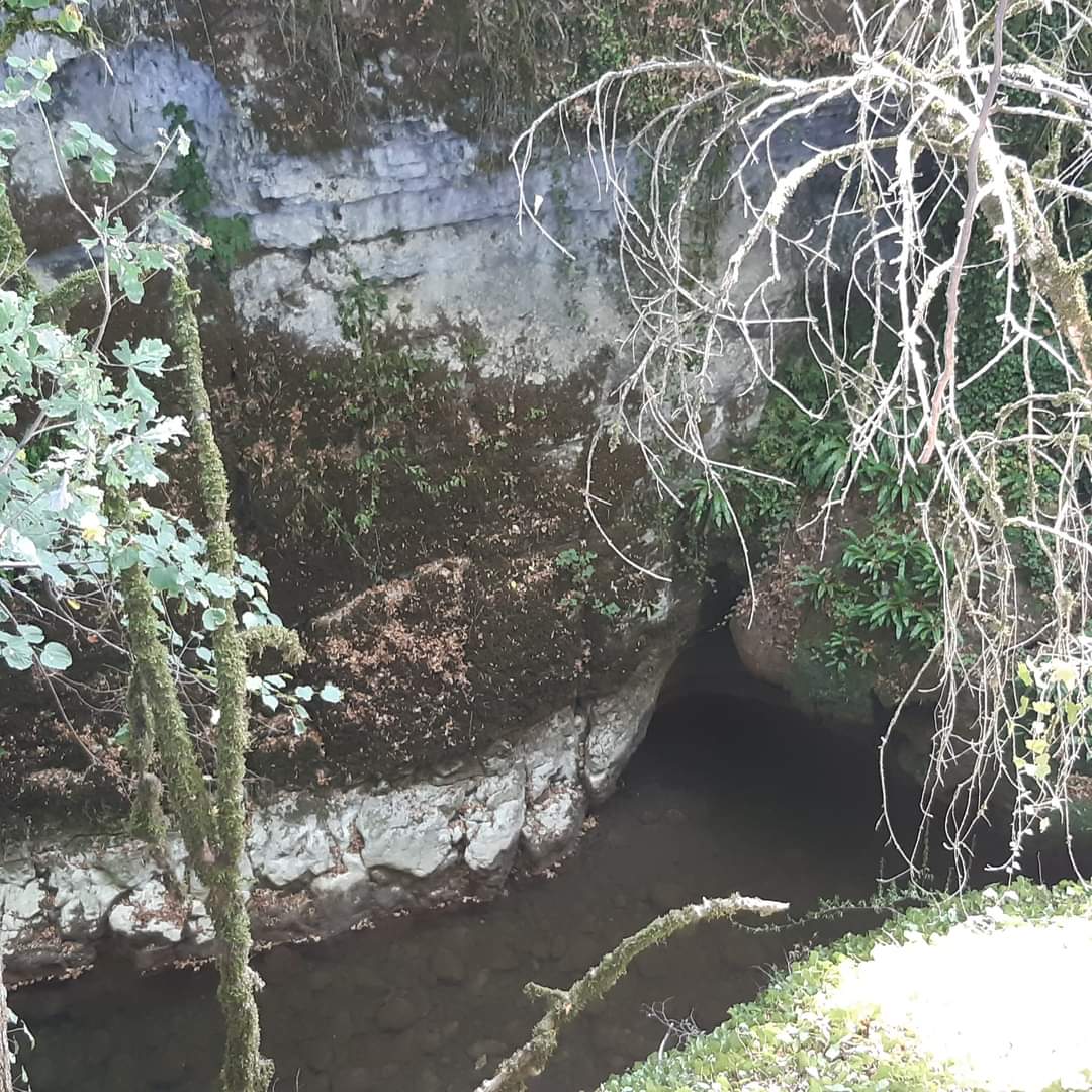 Photo n° 21 de l'avis de Anne.i fait le 13/08/2022 à 16:33