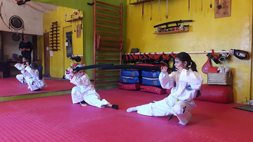 Clases karate niños Valparaiso