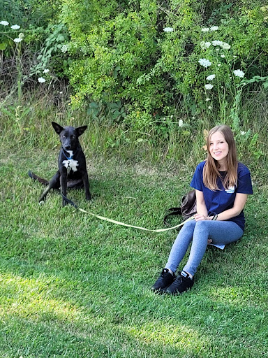 Subaru Dealer «Brilliance Subaru», reviews and photos, 1500 N Randall Rd, Elgin, IL 60123, USA